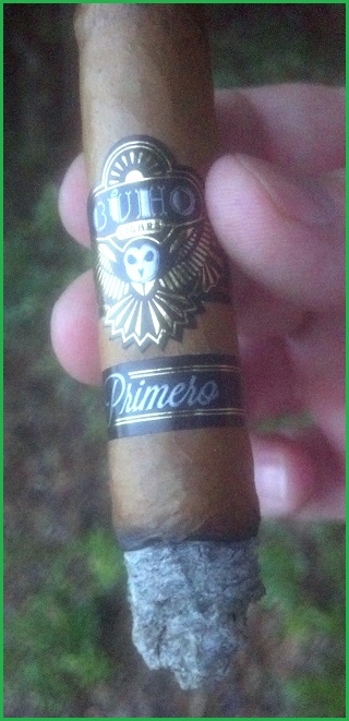 Buho Primero Robusto 2