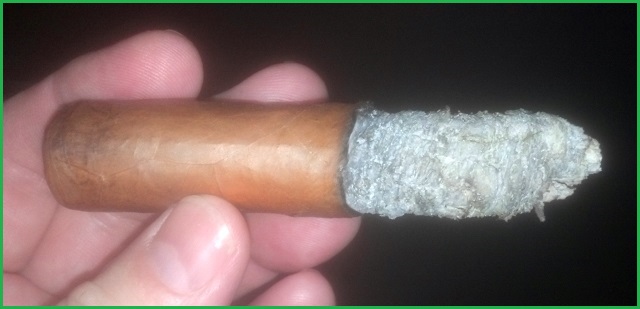 Buho Primero Robusto 3