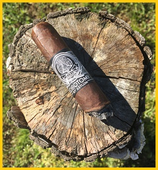 A Cigars Tale Review VII 3