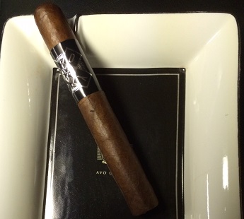 Hoyo Toro 1